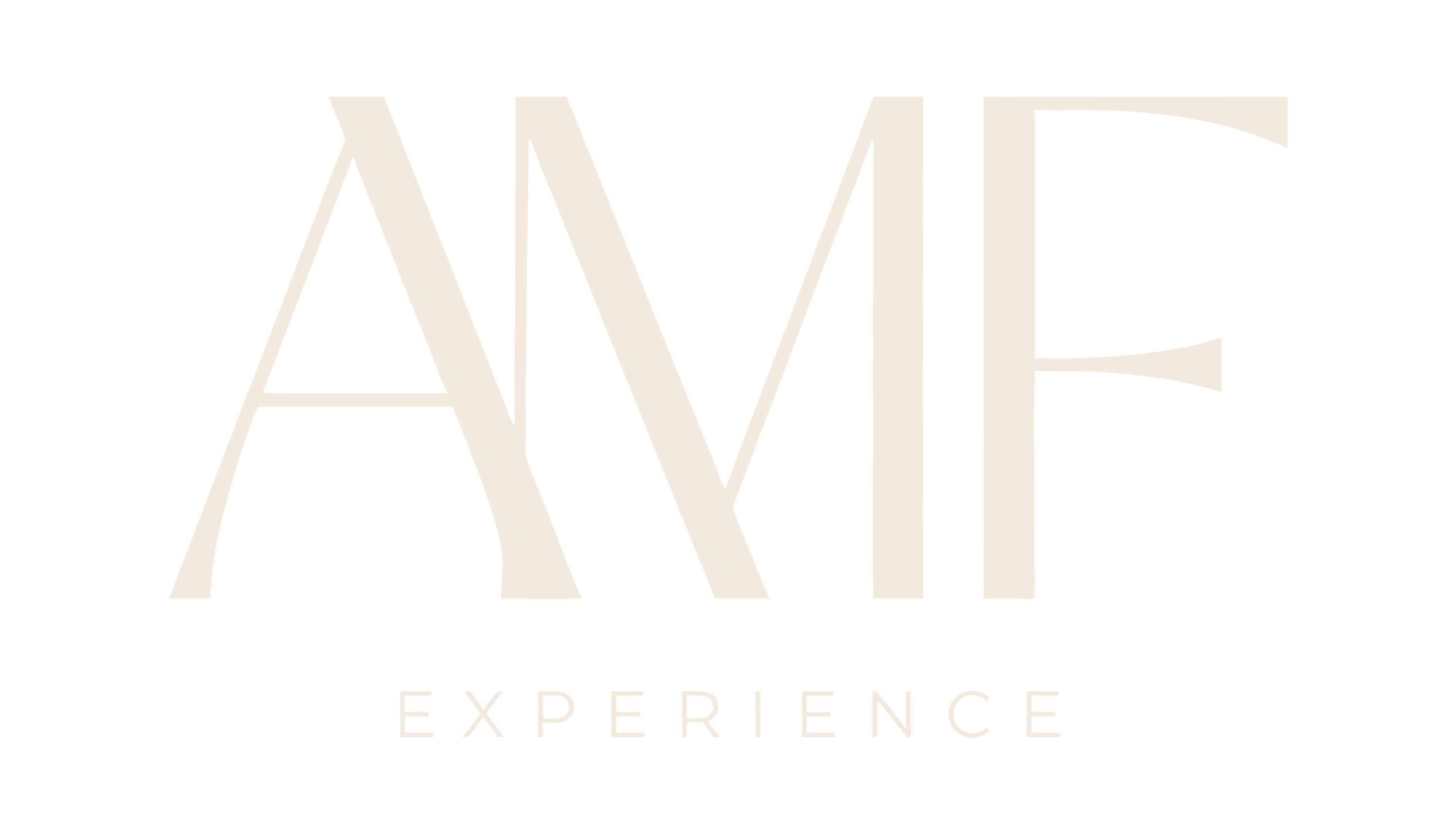 AMF Experience